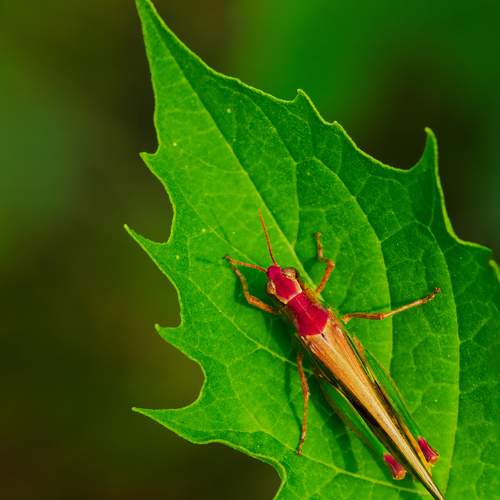 Фотография #12755191