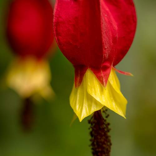 Фотография #12755199