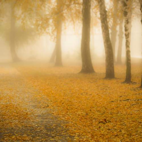 Photo #12755326