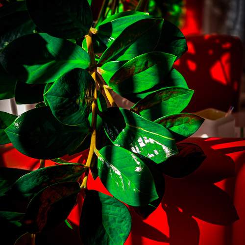 Photo #12755533