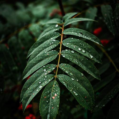 Photo #12755534