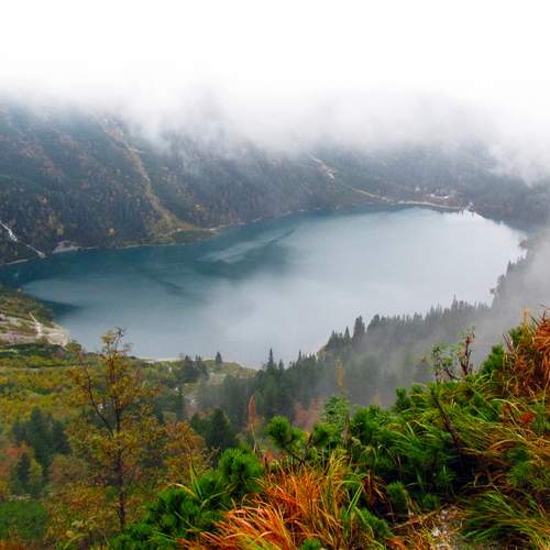 Photo #12755549