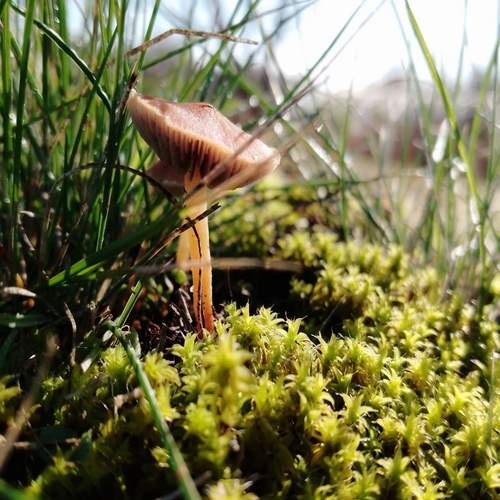 Photo #12755769