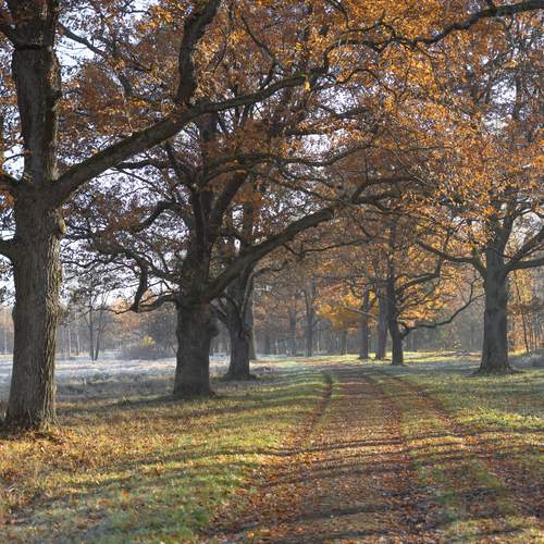 Photo #12755820