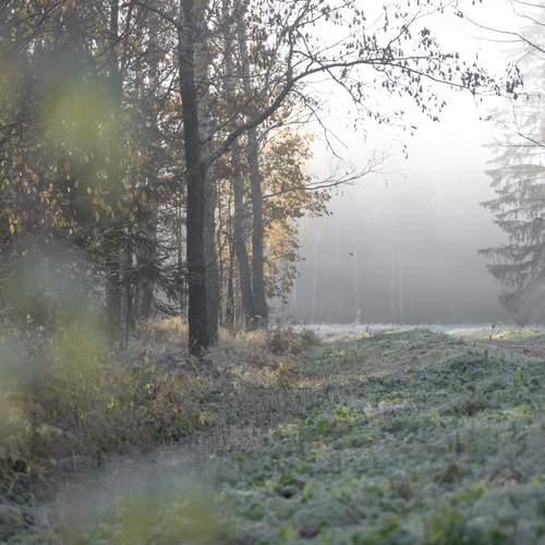 Photo #12755822