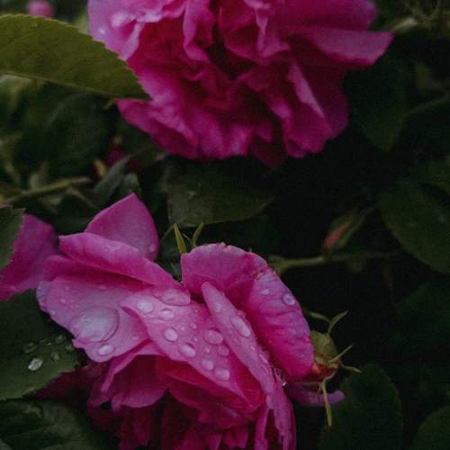 Photo #12755899