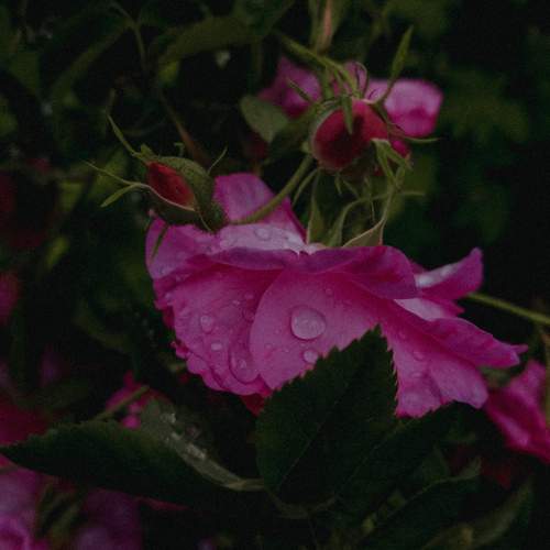 Photo #12755900