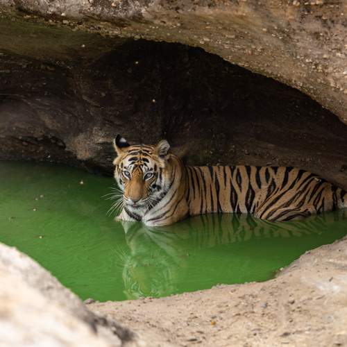 Photo #12755947