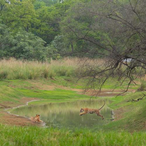 Photo #12755977