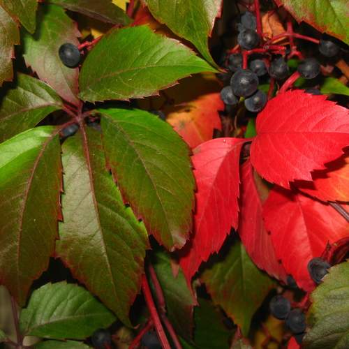 Photo #12755978