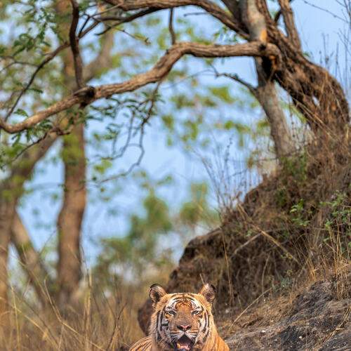 Photo #12755990