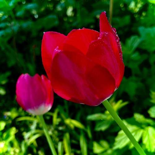 Photo #12756021
