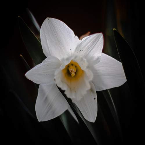 Photo #12756092