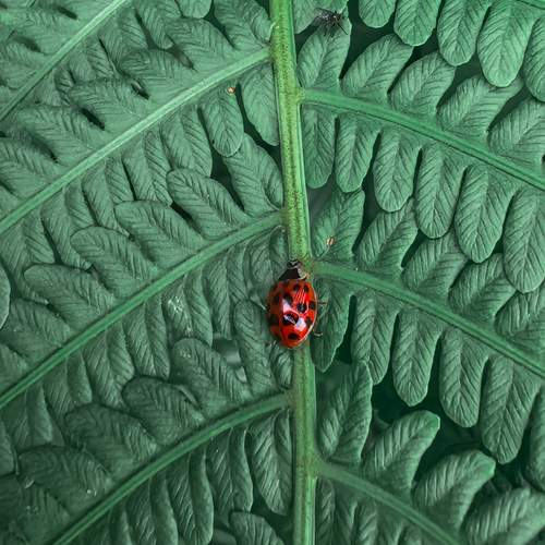 Photo #12756129