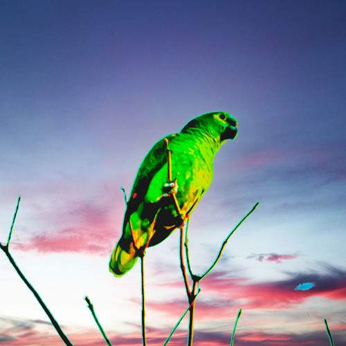 Photo #12756171
