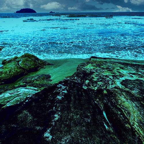 Photo #12756175