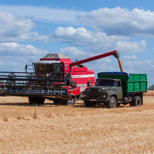 Photo #12756285