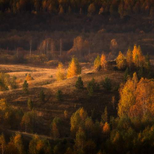 Photo #12756308