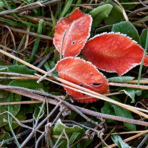 Photo #12756487