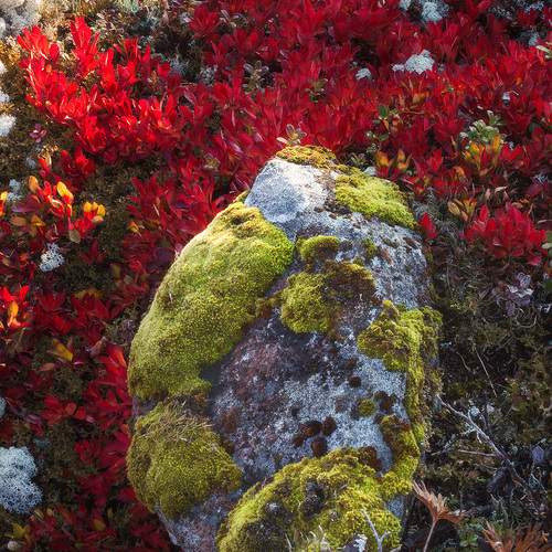 Фотография #12756640