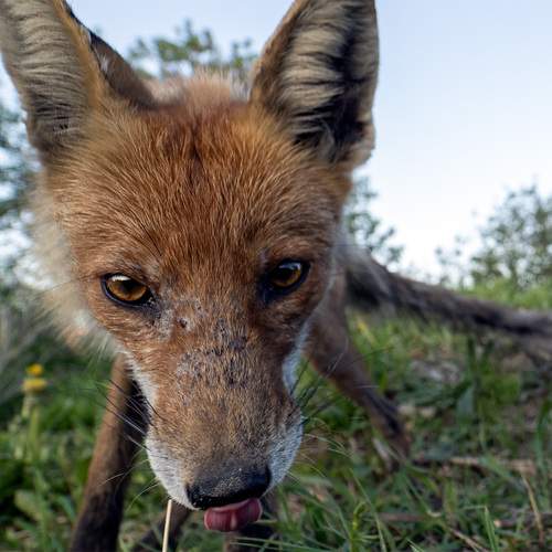 Photo #12756726