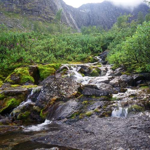 северный пейзаж