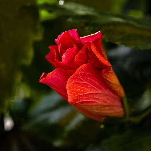 Photo #12757010