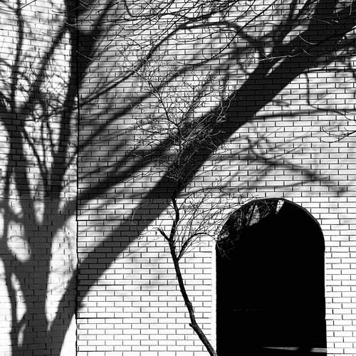 Photo #12757294