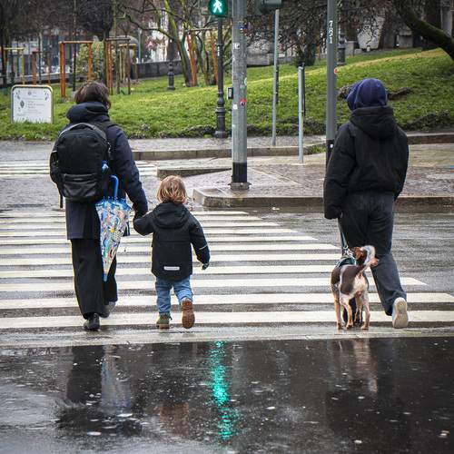 Photo #12757539