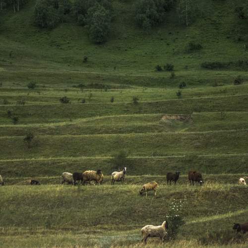 Photo #12757548