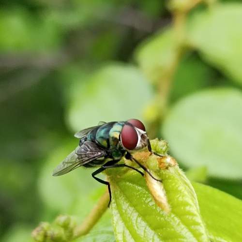 Photo #12757908