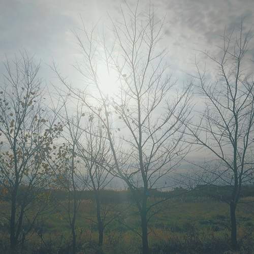 Photo #12758032