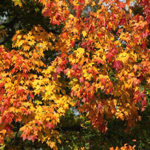 Photo #12758089
