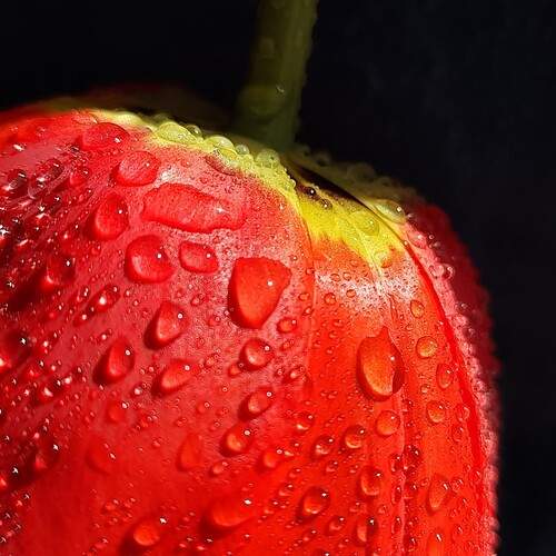 Photo #12758273