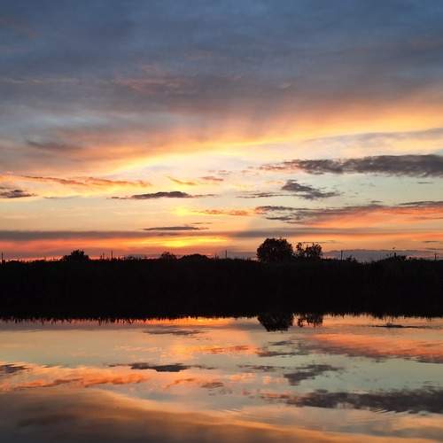 Photo #12758396