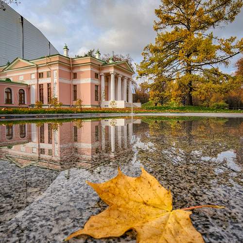 Photo #12758436