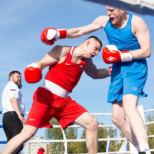 Photo #12758841