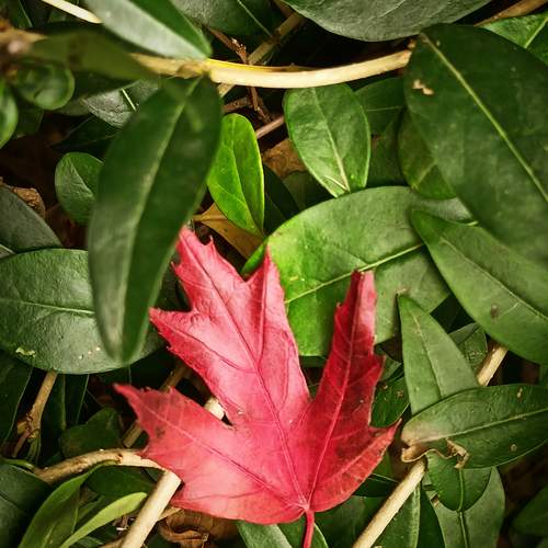Photo #12758910