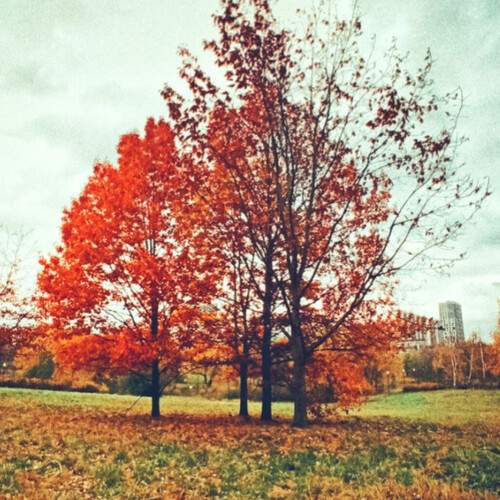 Photo #12759016