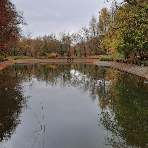 Photo #12759128