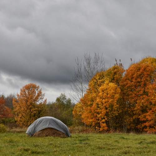 Photo #12759306