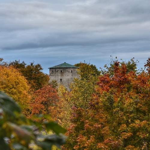 Photo #12759384