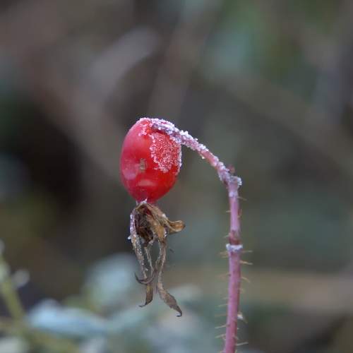 Photo #12759635