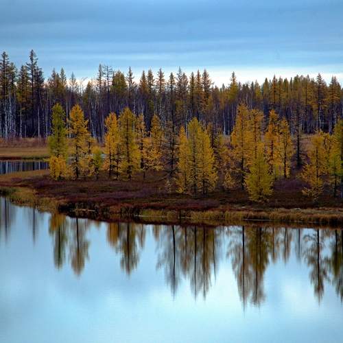 Photo #12759639