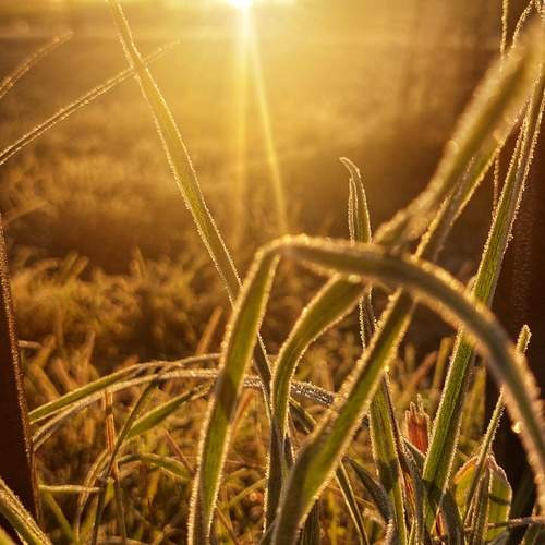 Photo #12759667