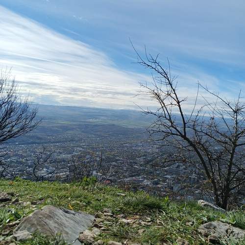 Photo #12759761