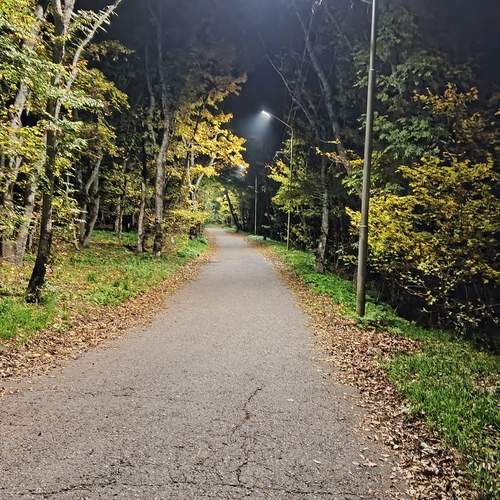 Photo #12759798