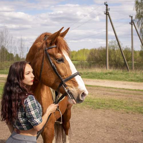 Photo #12759878