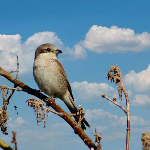 Photo #12759900