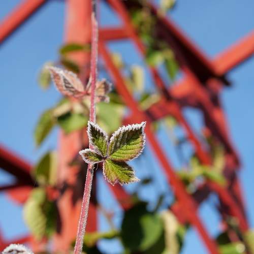 Photo #12759963
